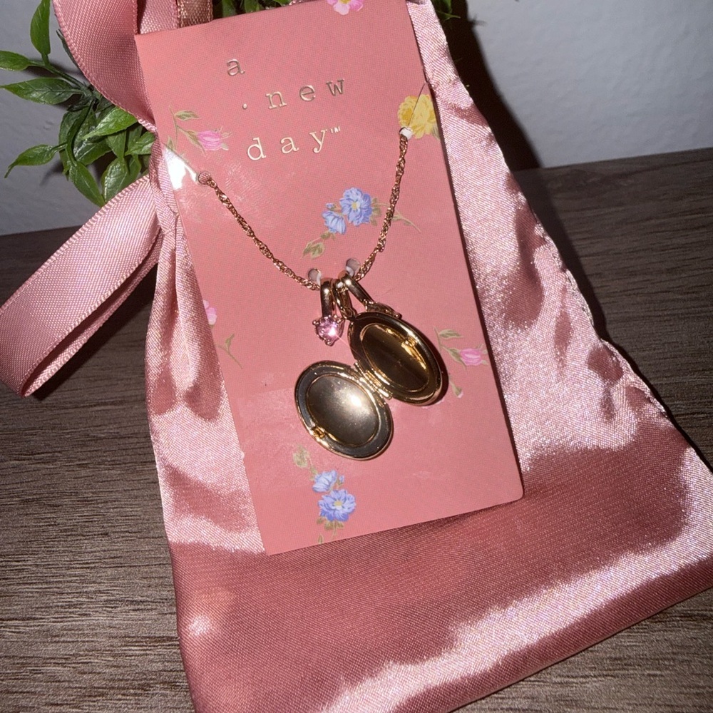 A New Day Pink Rose Locket Necklace - Picture 3 of 3
